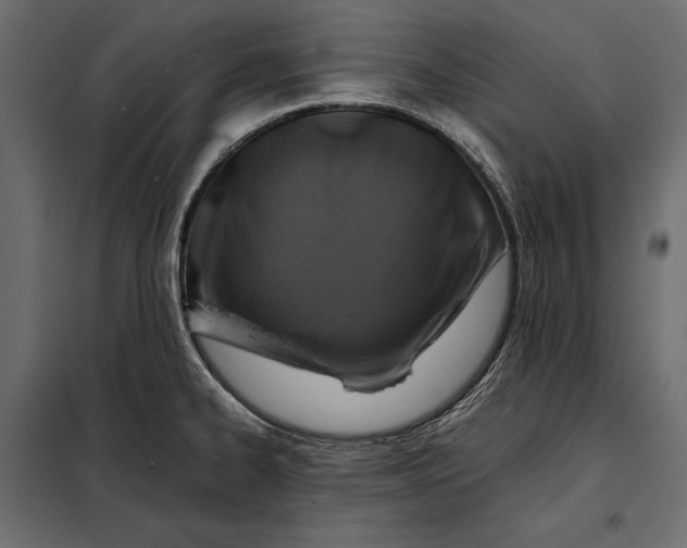 X0000098081334200804251504