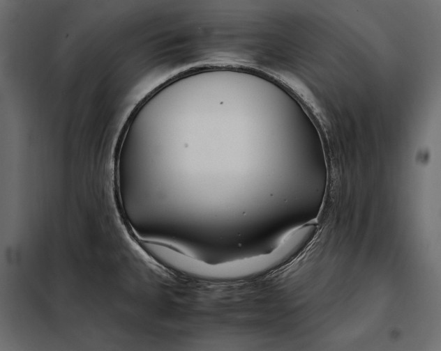 X0000098081335200804251504