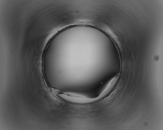 X0000098081336200804251504