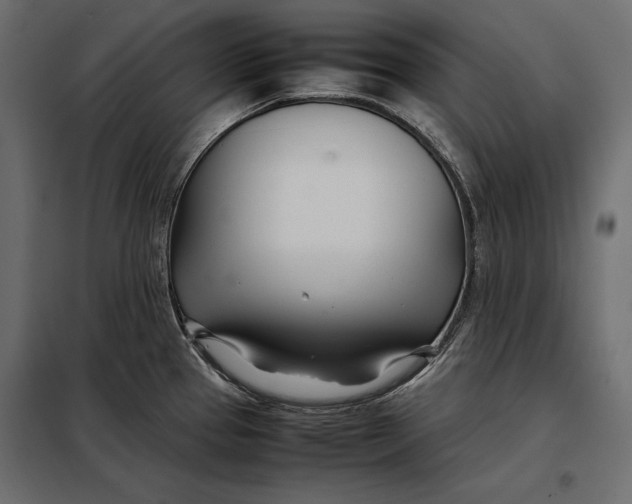 X0000098081337200804251504