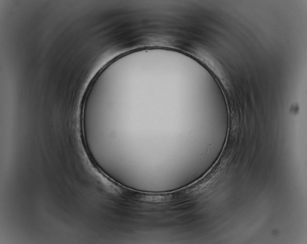 X0000098081339200804251504