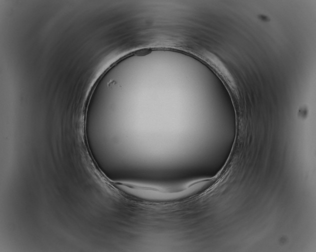 X0000098081340200804251504