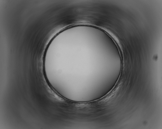 X0000098081341200804251504