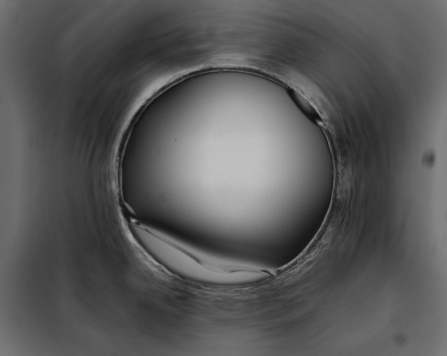 X0000098081342200804251504