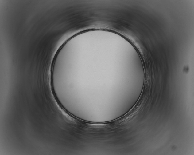 X0000098081343200804251504