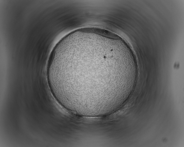 X0000098081344200804251504