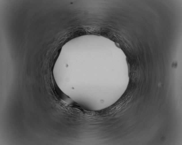 X0000098081345200804251504