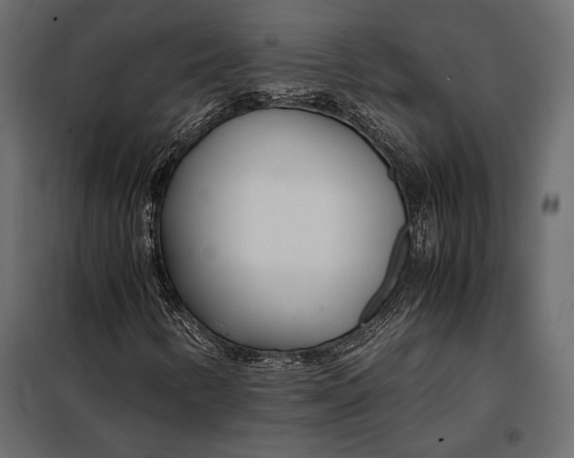 X0000098081346200804251504