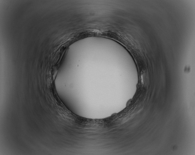 X0000098081347200804251504