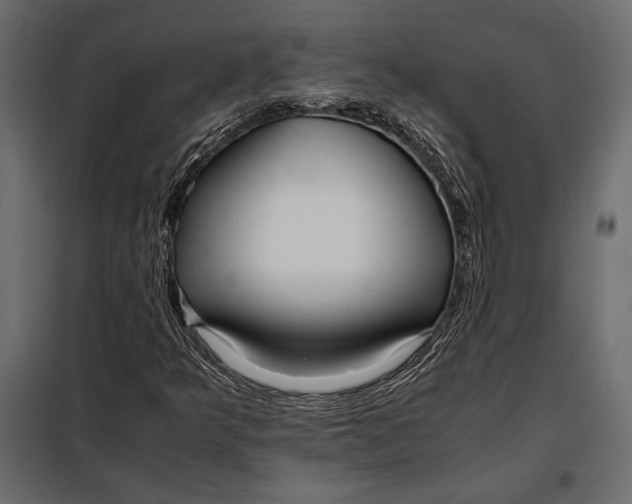 X0000098081349200804251504