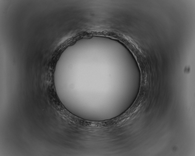 X0000098081350200804251504