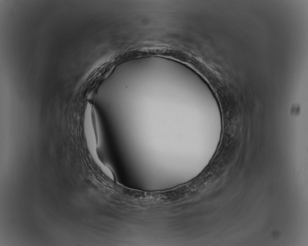 X0000098081351200804251504