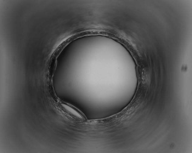 X0000098081352200804251504