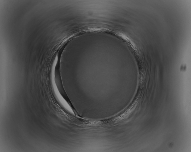 X0000098081353200804251504