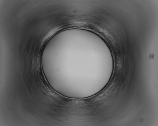 X0000098081354200804251504