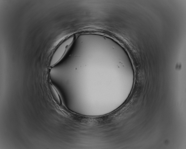 X0000098081355200804251504