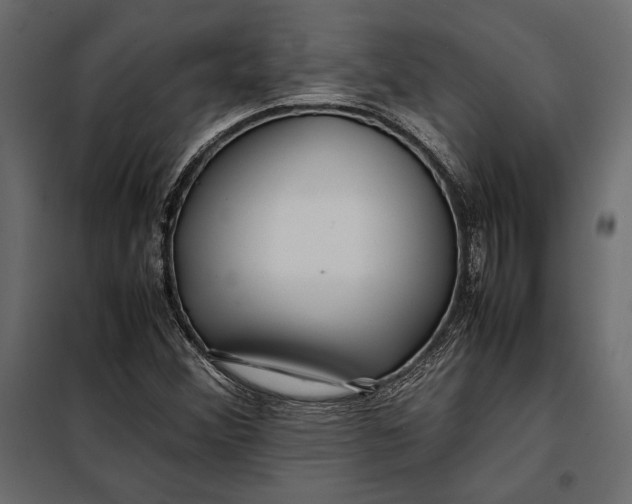 X0000098081356200804251504