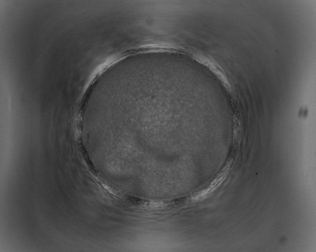 X0000098081357200804251504