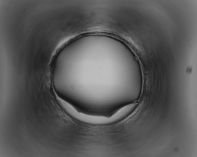 X0000098081358200804251504