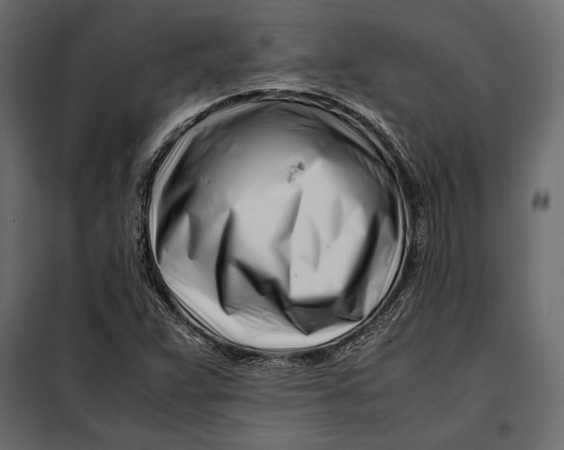 X0000098081359200804251504