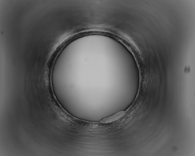 X0000098081360200804251504