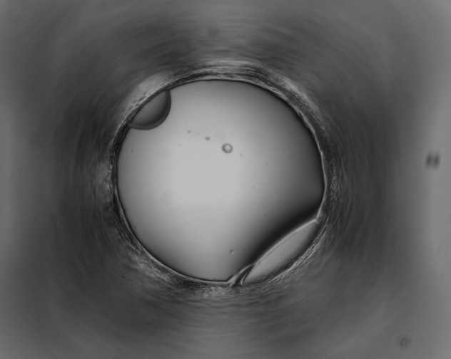 X0000098081362200804251504