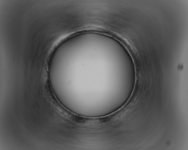 X0000098081363200804251504