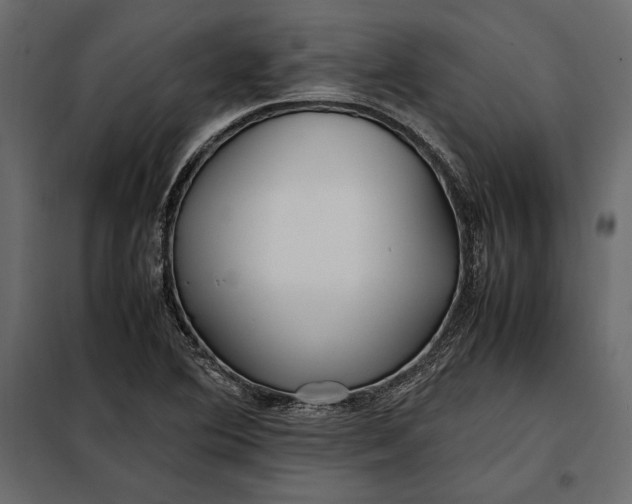 X0000098081364200804251503