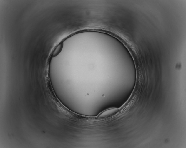 X0000098081366200804251503