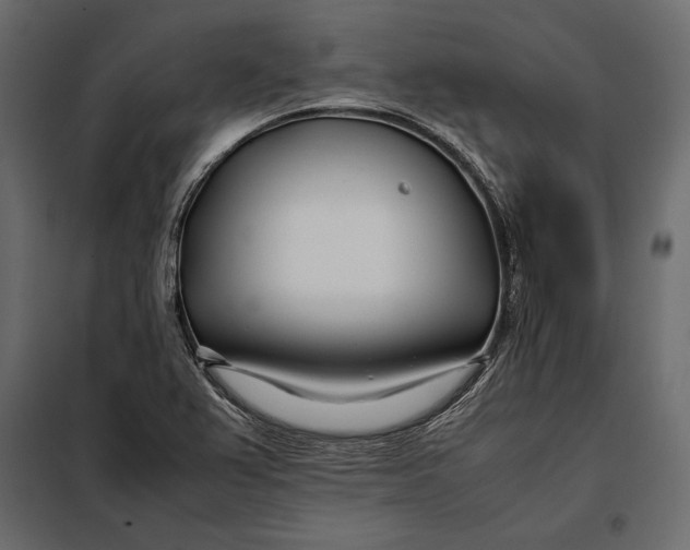 X0000098081367200804251503