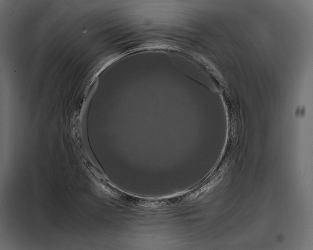 X0000098081369200804251503