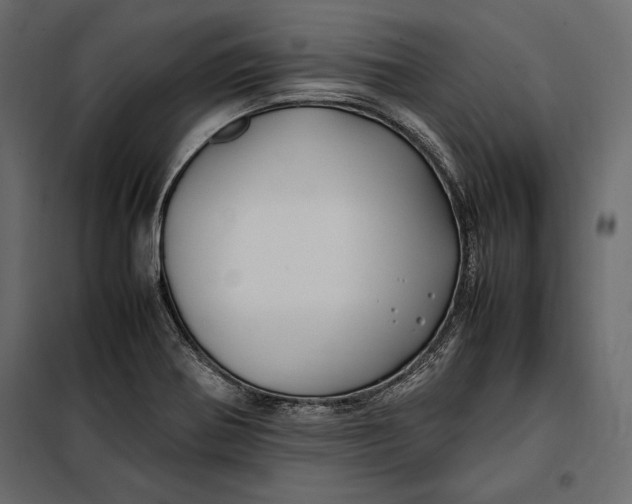 X0000098081370200804251503