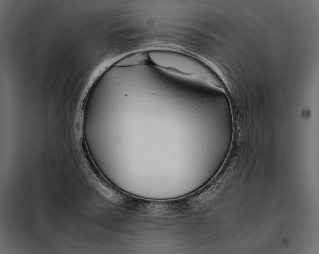 X0000098081371200804251503