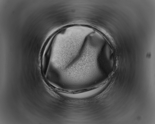 X0000098081372200804251503