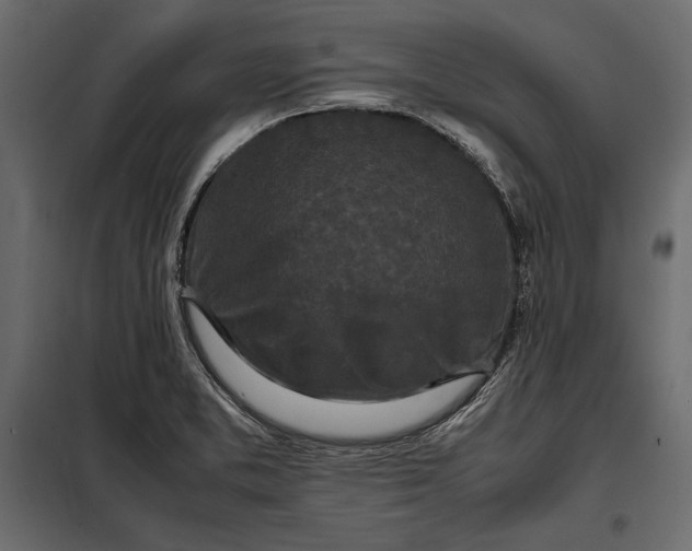 X0000098081373200804251503