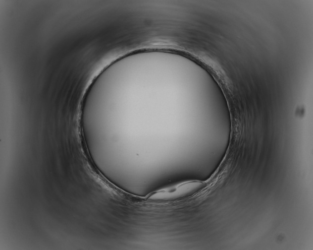 X0000098081374200804251503