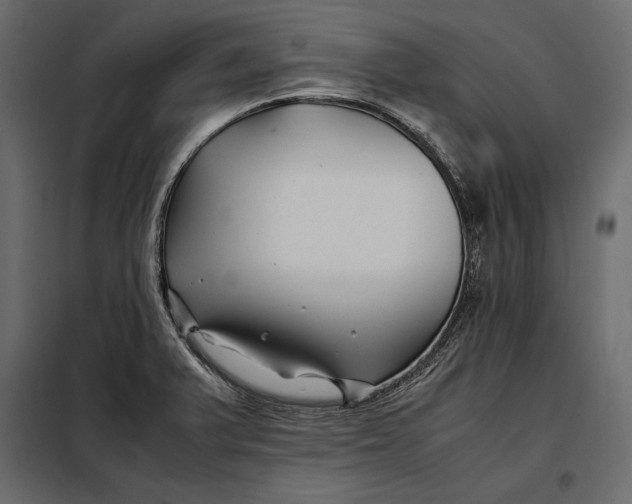 X0000098081375200804251503