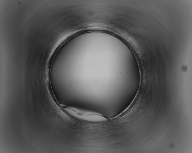 X0000098081376200804251503