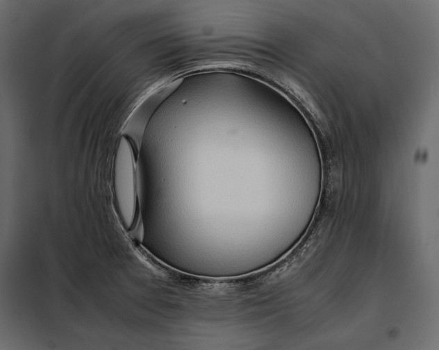 X0000098081377200804251503