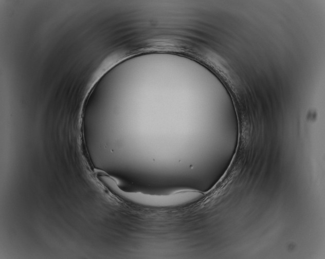 X0000098081378200804251503