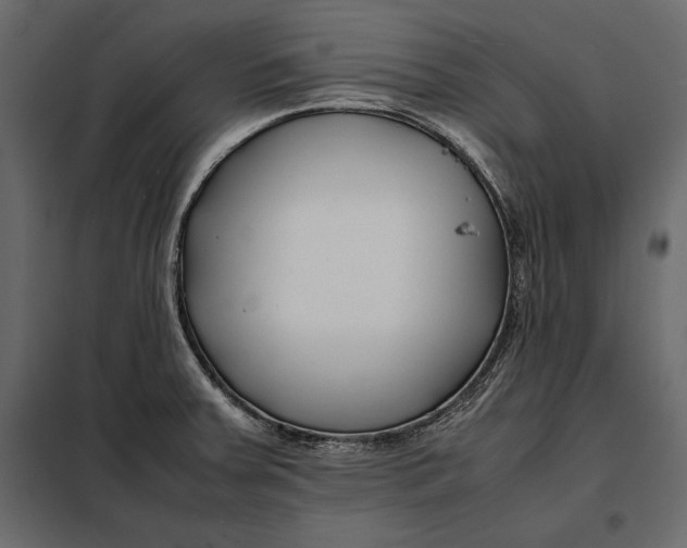 X0000098081379200804251503