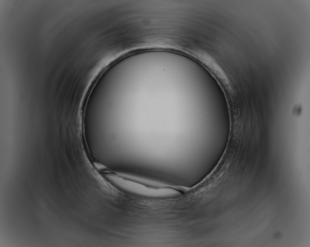 X0000098081380200804251503