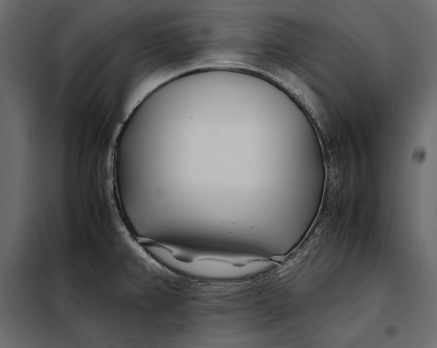 X0000098081382200804251503