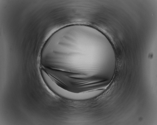 X0000098081383200804251503