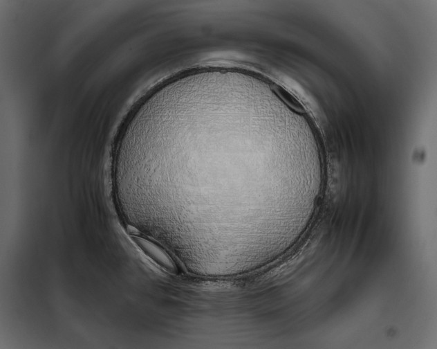 X0000098081384200804251503