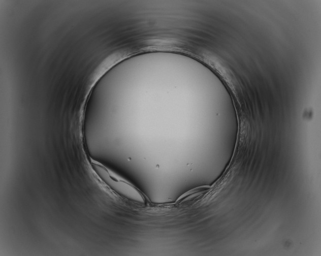 X0000098081386200804251503