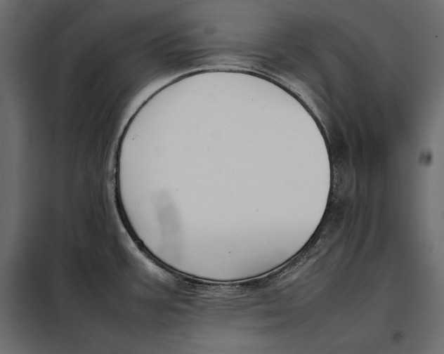 X0000098081387200804251503