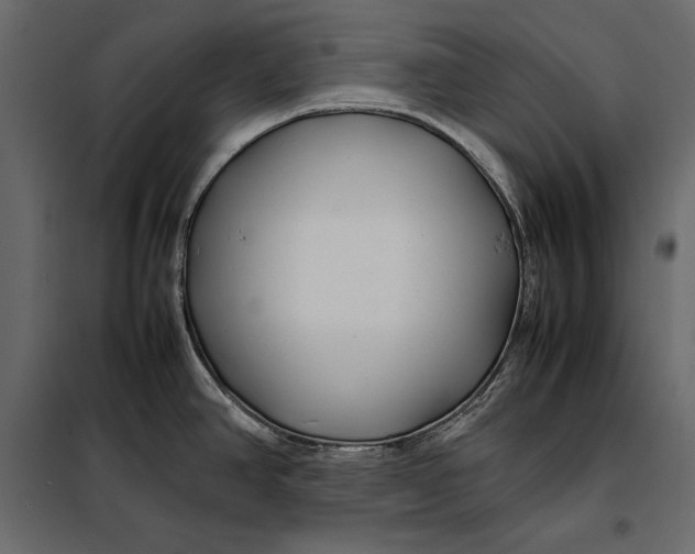 X0000098081390200804251503