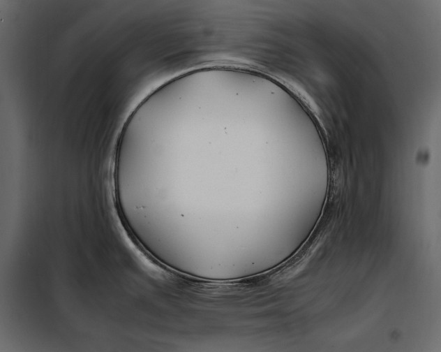 X0000098081391200804251503