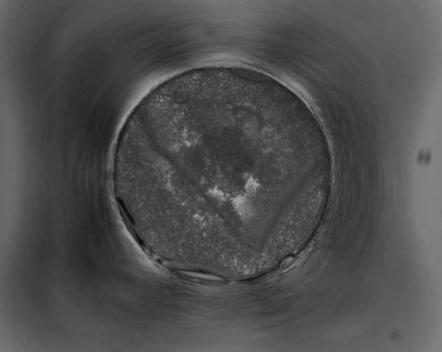 X0000098081392200804251503